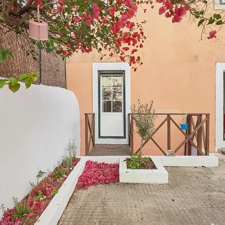 Amazing Terrace And Riverview In Historical Lisbon Exterior photo